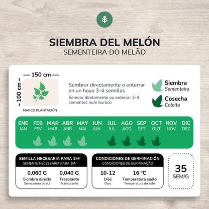 Organiczne nasiona Melon piel de sapo Planet Garden