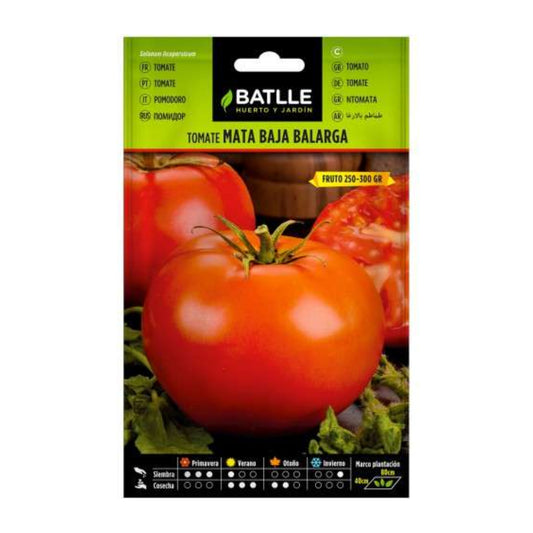 Semillas de Tomate Mata Baja Balarga Batlle
