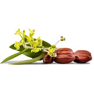 Volumenmaske – Brown Lavera 9 ml