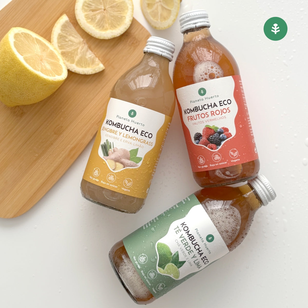 Pack 6x Kombucha ECO Ingwer und Zitronengras Planeta Huerto 330 ml