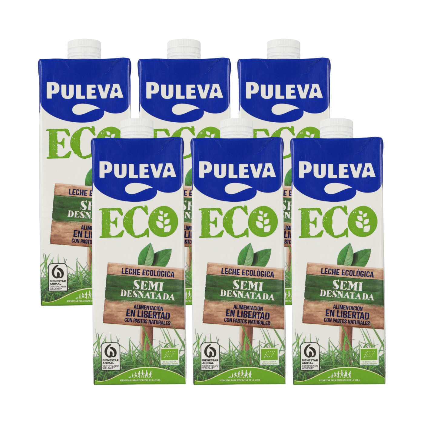 Pack of 6 Puleva Organic Semi-Skimmed Milk, 1 L